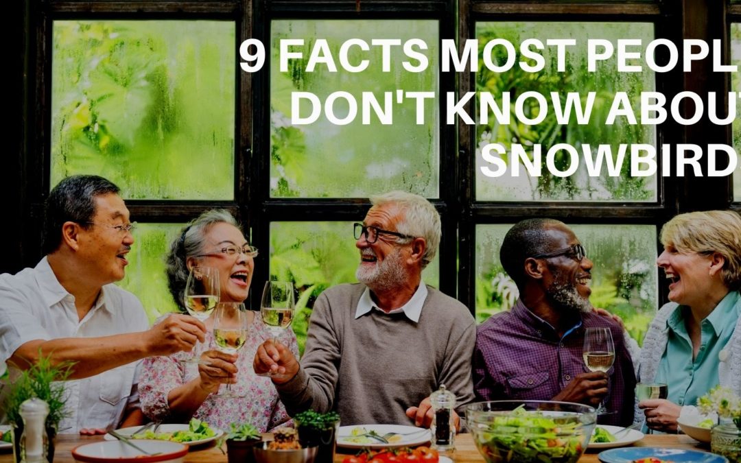 9 Facts Most People Don’t Know About Snowbirds