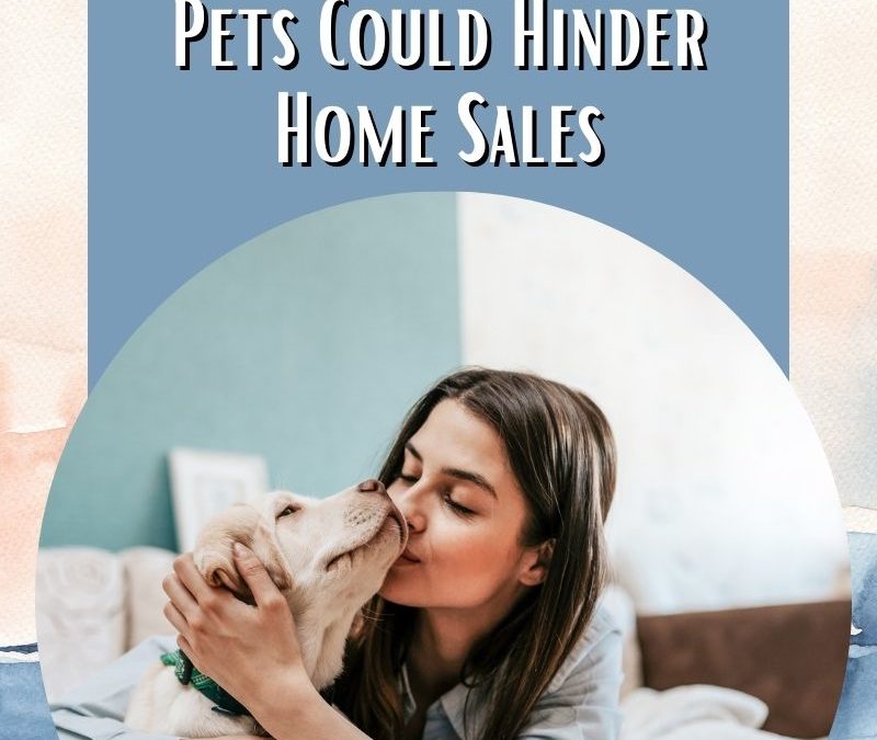 How Our Sweet Cute Pets Could Hinder Home Sales