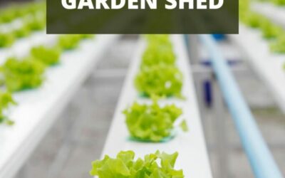 Greenhouse or Garden Shed